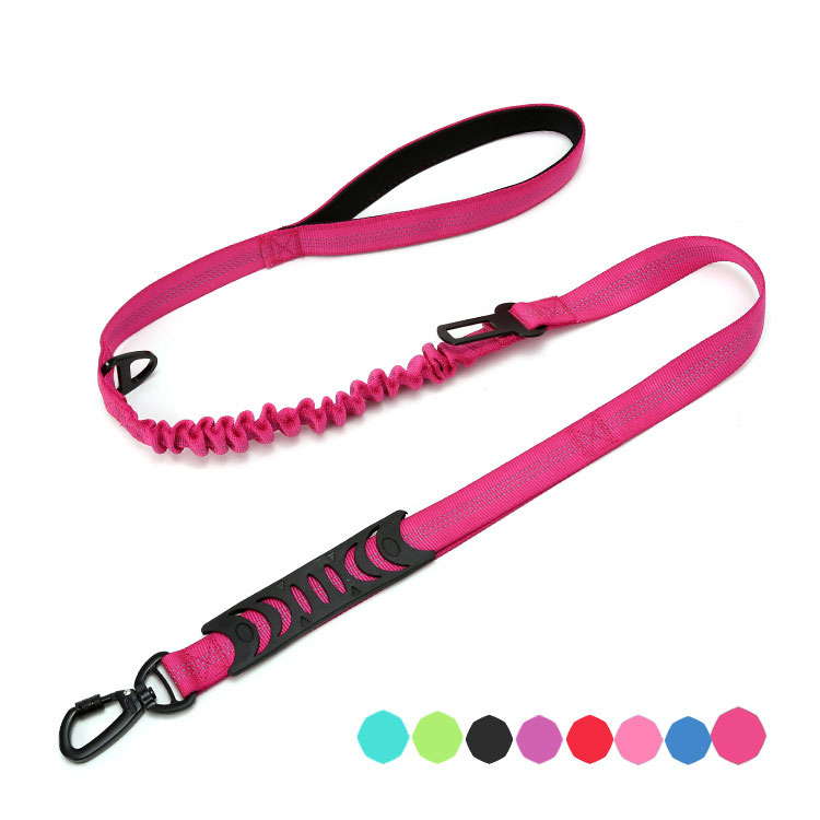 Reflective Night Safety Dog Leash