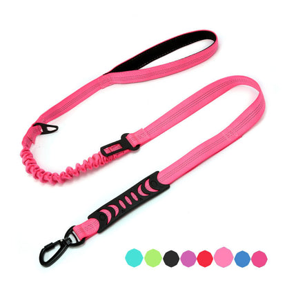 Reflective Night Safety Dog Leash