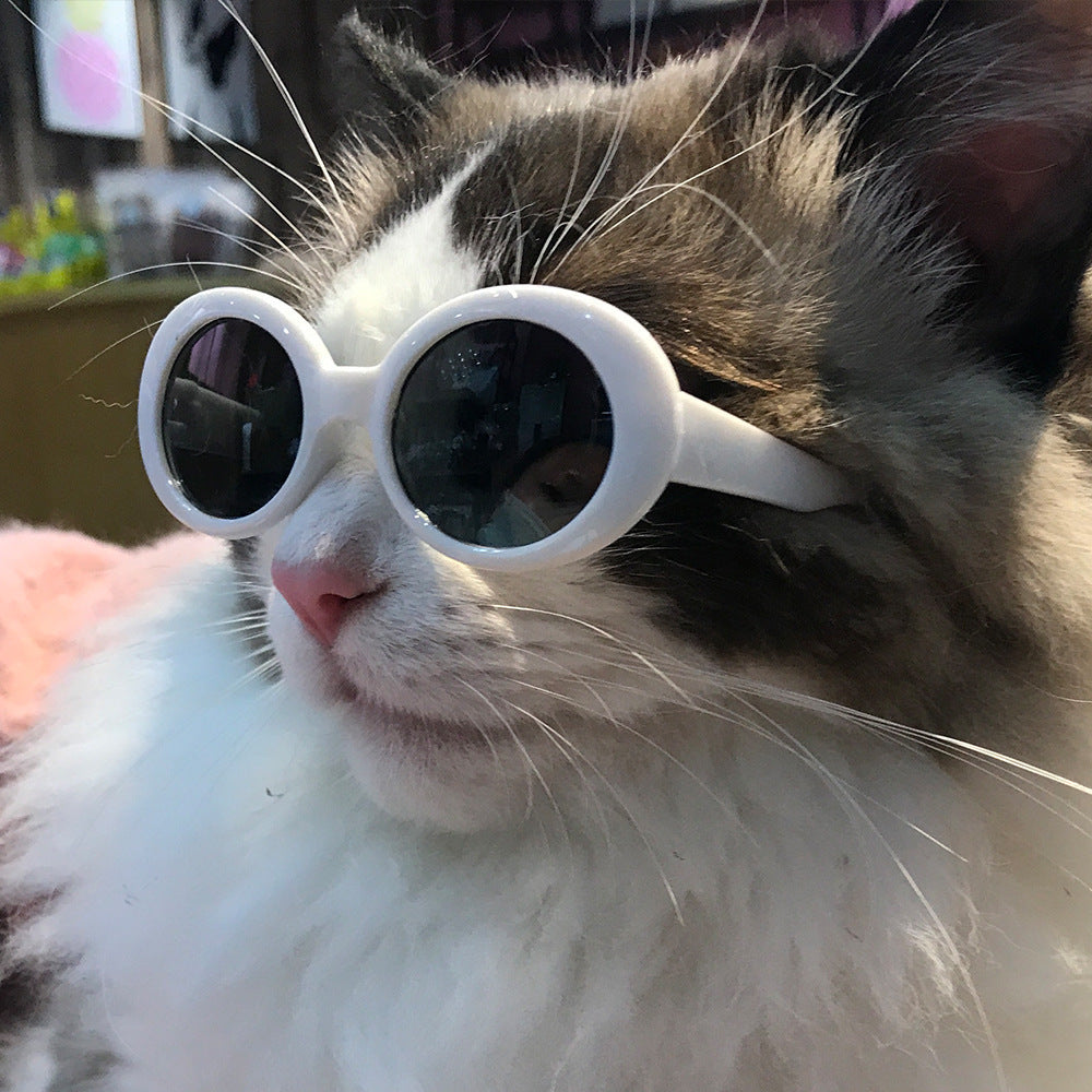 Pet Fashion Sunglasses