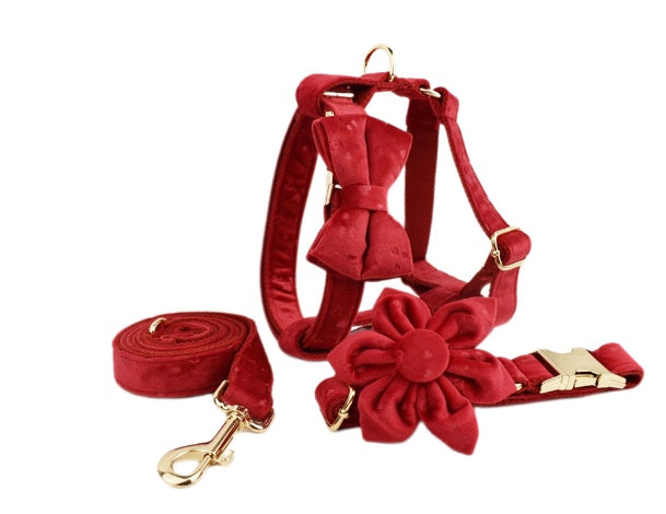 Rudy Everyday Walking Set with Bow or Flower (Harness, Leash & Bag Holder)