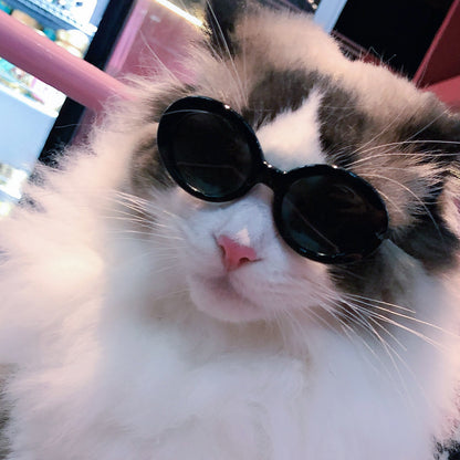 Pet Fashion Sunglasses