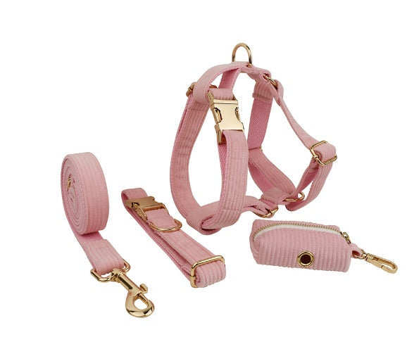 Rudy Everyday Walking Set with Bow or Flower (Harness, Leash & Bag Holder)