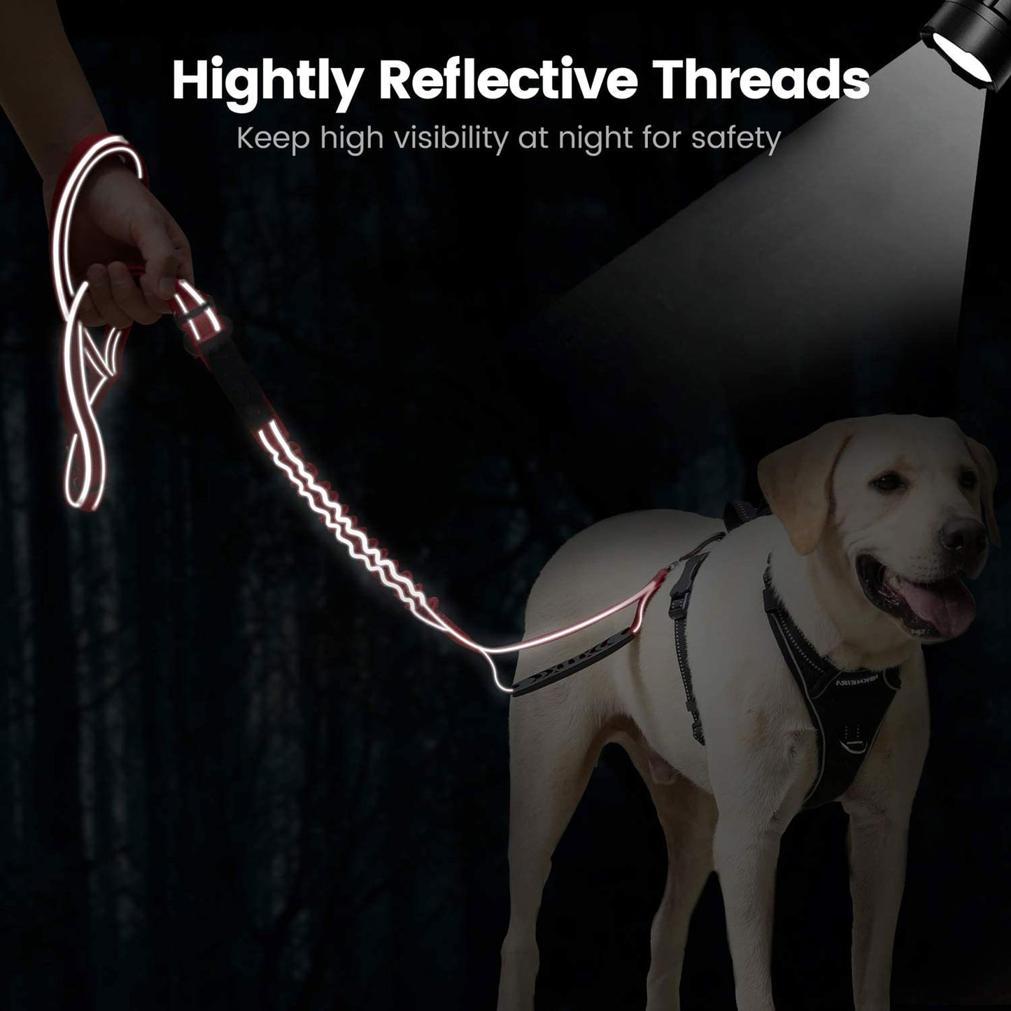 Reflective Night Safety Dog Leash