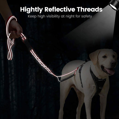 Reflective Night Safety Dog Leash