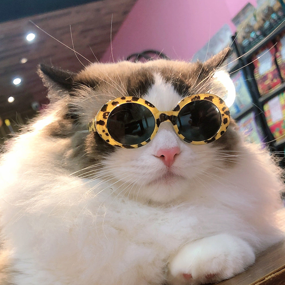 Pet Fashion Sunglasses