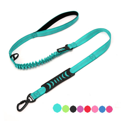Reflective Night Safety Dog Leash