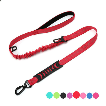 Reflective Night Safety Dog Leash